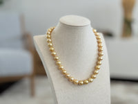 10-11mm Golden South Sea Pearl Choker Necklace