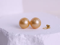 Golden South Sea Pearls Stud Earrings 14k Solid Gold