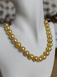 11-12mm Golden South Sea Pearl Choker Necklace