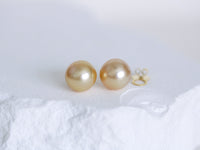 Golden South Sea Pearls Stud Earrings 14k Solid Gold